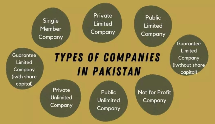 Starting a business in Pakistan Selecting the Optimal Business Structure in Pakistan